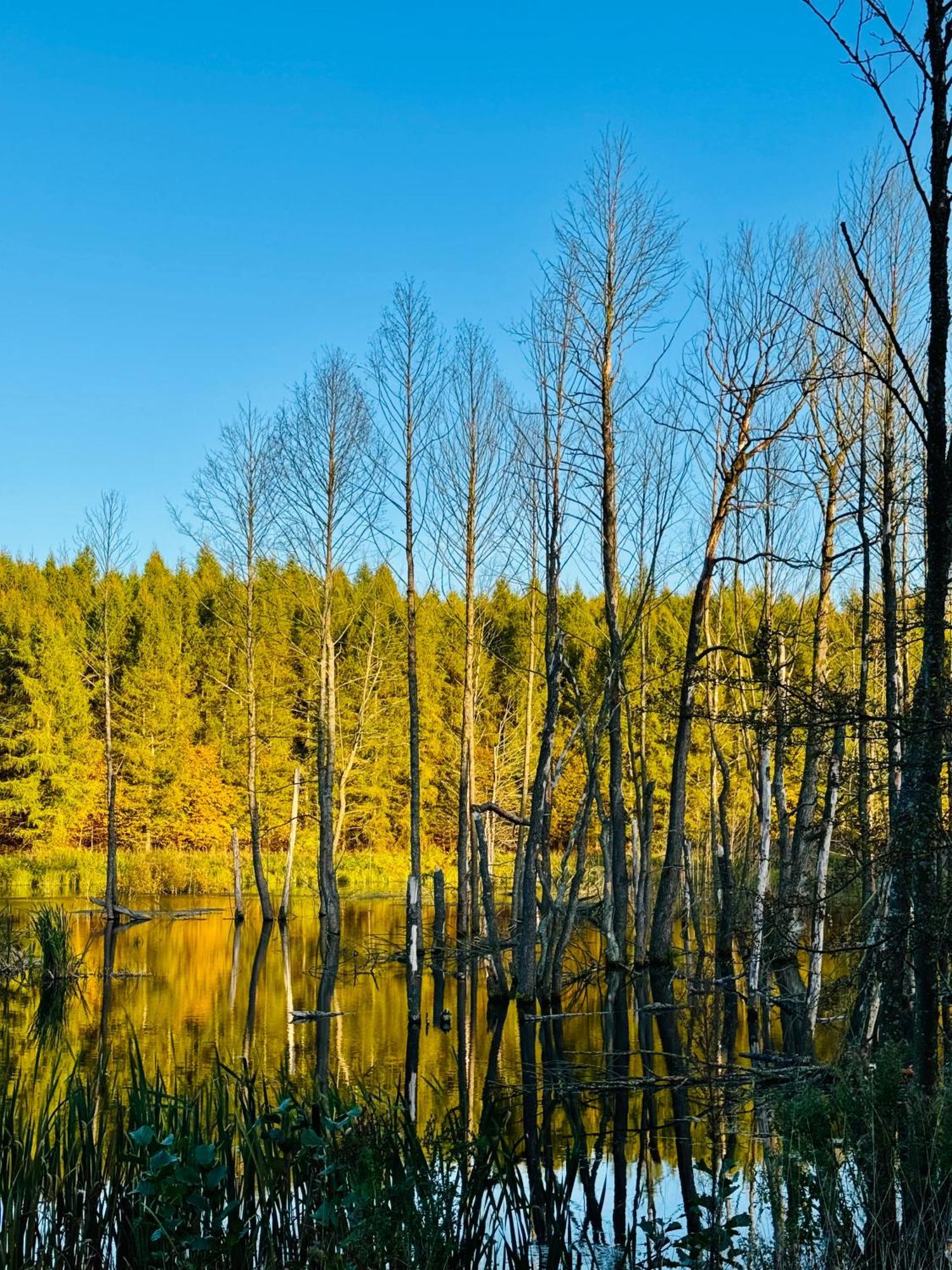 Folwark Wierzchy Bagian luar foto